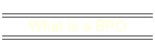 What is a BPO