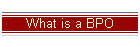 What is a BPO